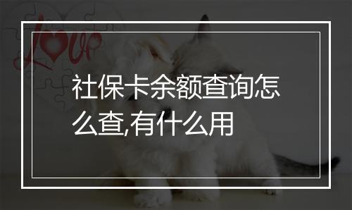 社保卡余额查询怎么查,有什么用