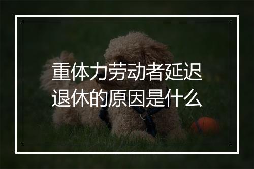 重体力劳动者延迟退休的原因是什么