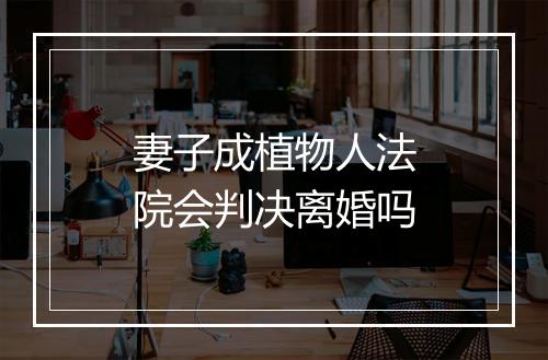 妻子成植物人法院会判决离婚吗