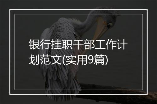 银行挂职干部工作计划范文(实用9篇)