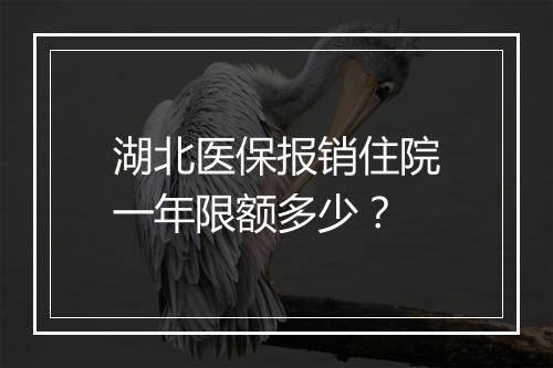 湖北医保报销住院一年限额多少？