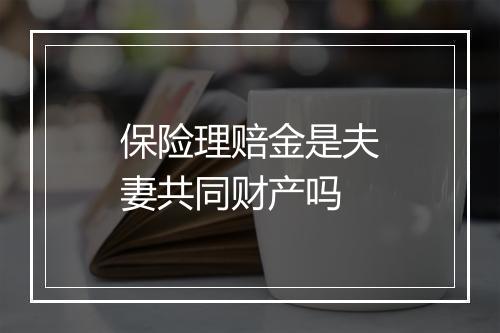保险理赔金是夫妻共同财产吗