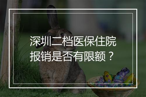深圳二档医保住院报销是否有限额？