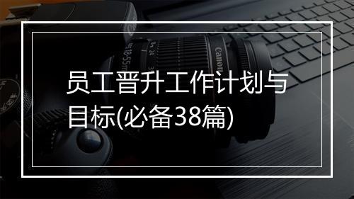 员工晋升工作计划与目标(必备38篇)