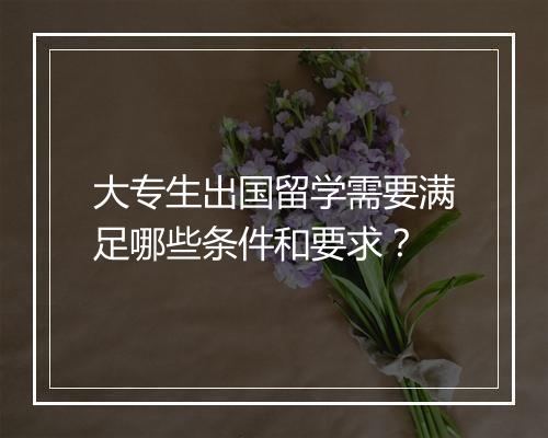 大专生出国留学需要满足哪些条件和要求？