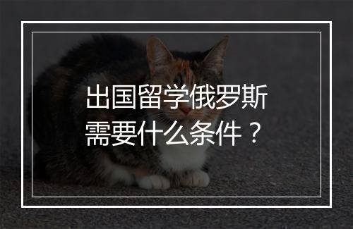 出国留学俄罗斯需要什么条件？