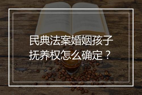 民典法案婚姻孩子抚养权怎么确定？