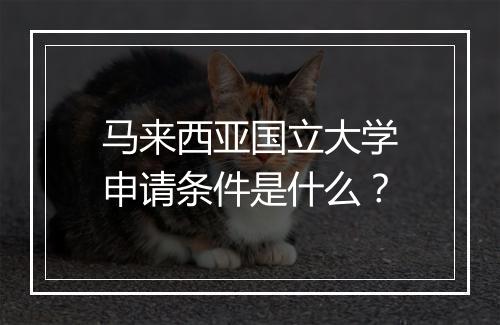 马来西亚国立大学申请条件是什么？