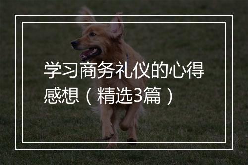 学习商务礼仪的心得感想（精选3篇）