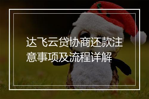 达飞云贷协商还款注意事项及流程详解