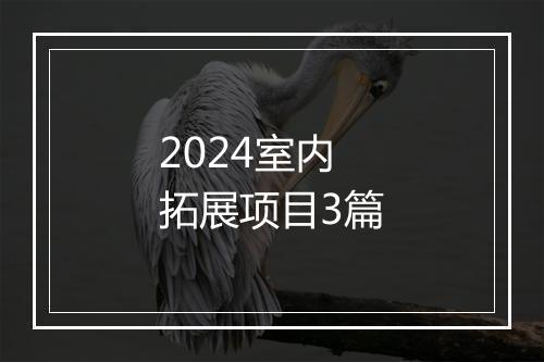 2024室内拓展项目3篇
