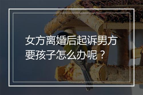 女方离婚后起诉男方要孩子怎么办呢？