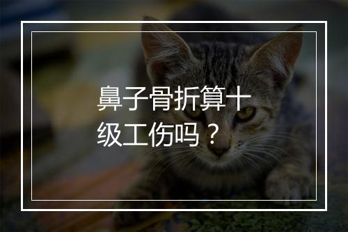 鼻子骨折算十级工伤吗？