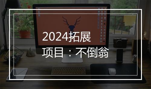 2024拓展项目：不倒翁