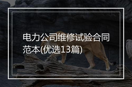 电力公司维修试验合同范本(优选13篇)