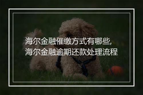 海尔金融催缴方式有哪些,海尔金融逾期还款处理流程