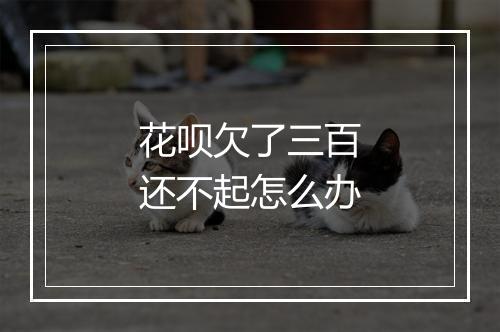 花呗欠了三百还不起怎么办