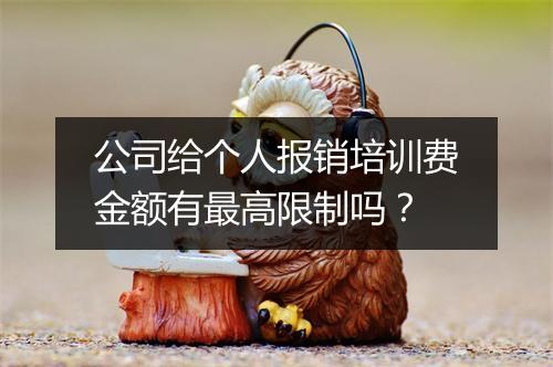 公司给个人报销培训费金额有最高限制吗？