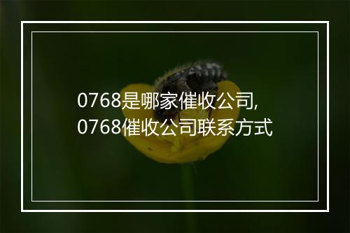 0768是哪家催收公司,0768催收公司联系方式