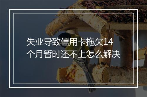 失业导致信用卡拖欠14个月暂时还不上怎么解决
