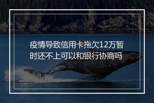 疫情导致信用卡拖欠12万暂时还不上可以和银行协商吗