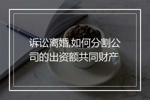 诉讼离婚,如何分割公司的出资额共同财产