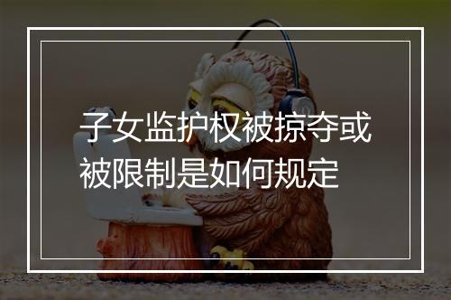子女监护权被掠夺或被限制是如何规定