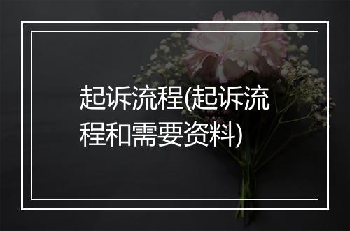 起诉流程(起诉流程和需要资料)