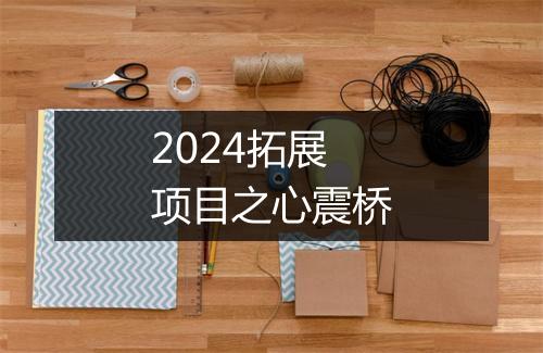 2024拓展项目之心震桥
