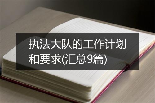 执法大队的工作计划和要求(汇总9篇)