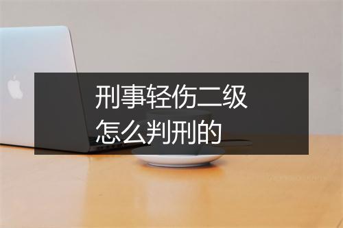 刑事轻伤二级怎么判刑的