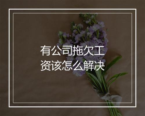 有公司拖欠工资该怎么解决