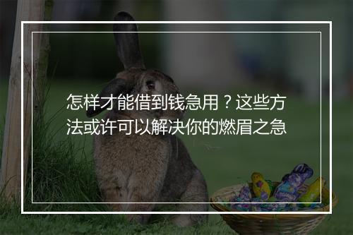 怎样才能借到钱急用？这些方法或许可以解决你的燃眉之急