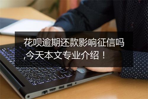 花呗逾期还款影响征信吗,今天本文专业介绍！