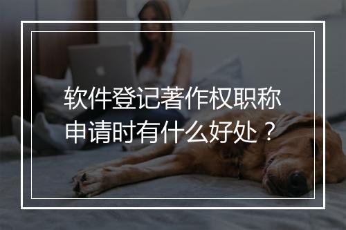 软件登记著作权职称申请时有什么好处？