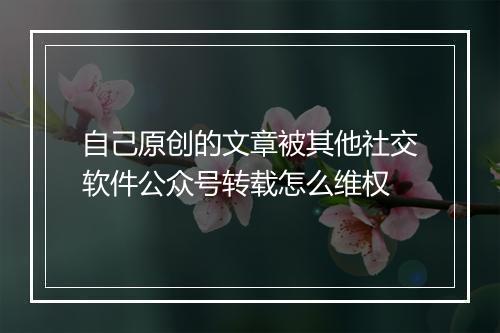 自己原创的文章被其他社交软件公众号转载怎么维权