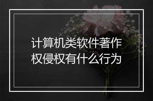 计算机类软件著作权侵权有什么行为