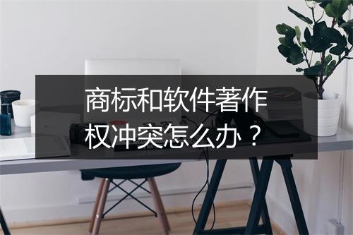 商标和软件著作权冲突怎么办？