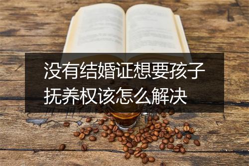 没有结婚证想要孩子抚养权该怎么解决
