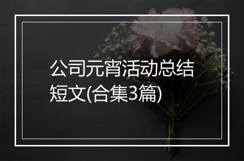 公司元宵活动总结短文(合集3篇)