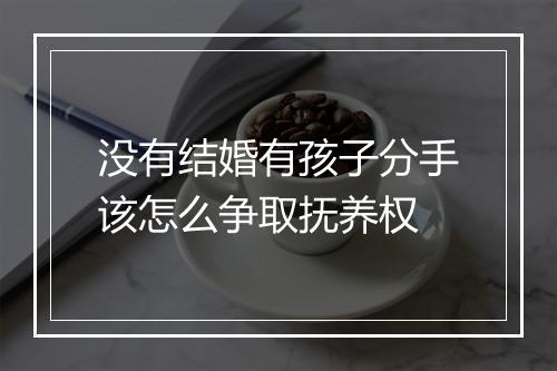 没有结婚有孩子分手该怎么争取抚养权