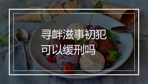 寻衅滋事初犯可以缓刑吗