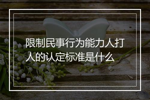 限制民事行为能力人打人的认定标准是什么