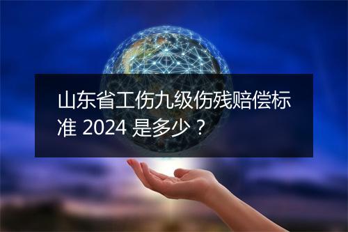 山东省工伤九级伤残赔偿标准 2024 是多少？