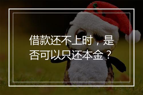 借款还不上时，是否可以只还本金？