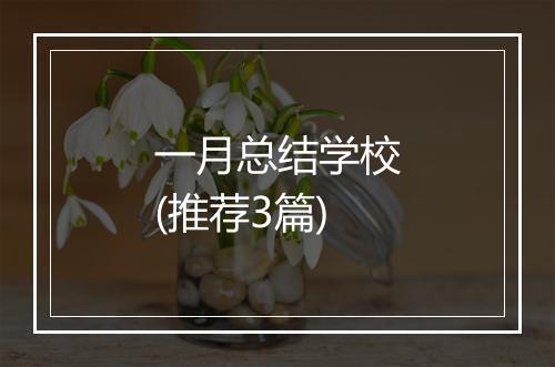 一月总结学校(推荐3篇)