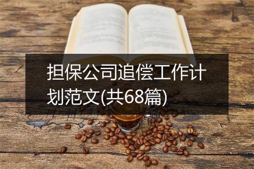 担保公司追偿工作计划范文(共68篇)