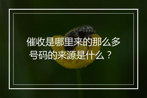 催收是哪里来的那么多 号码的来源是什么？