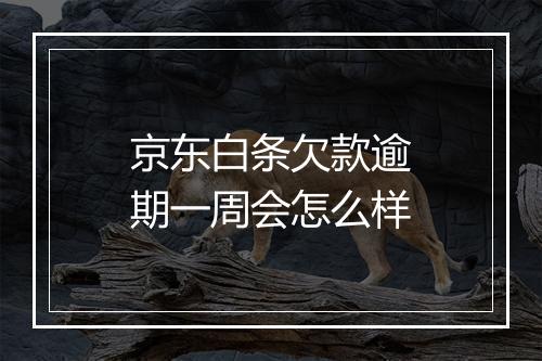 京东白条欠款逾期一周会怎么样