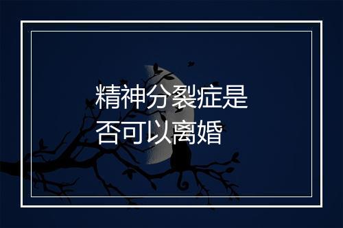 精神分裂症是否可以离婚